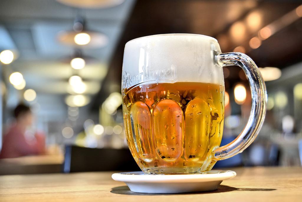Hotel Restaurant Darwin Prag Eksteriør billede