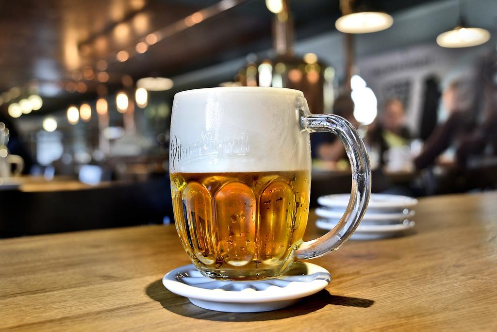 Hotel Restaurant Darwin Prag Eksteriør billede